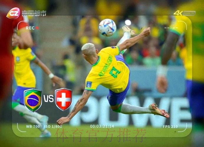 实时观看男子世界杯直播精彩赛事回顾