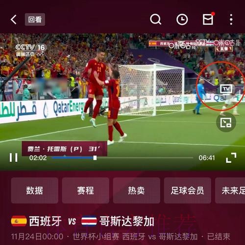 在哪里可以看世界杯直播赛况？
